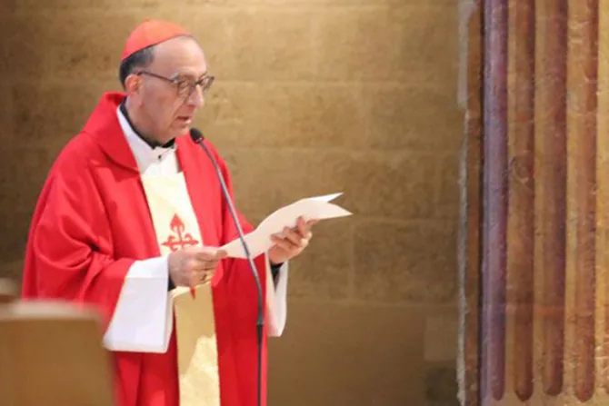 Cardenal Omella: “Abusos cometidos por miembros de la Iglesia nos causan dolor y vergüenza”