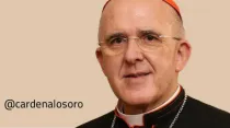 Cardenal Carlos Osoro, Arzobispo de Madrid. Crédito: ArchiMadrid. 