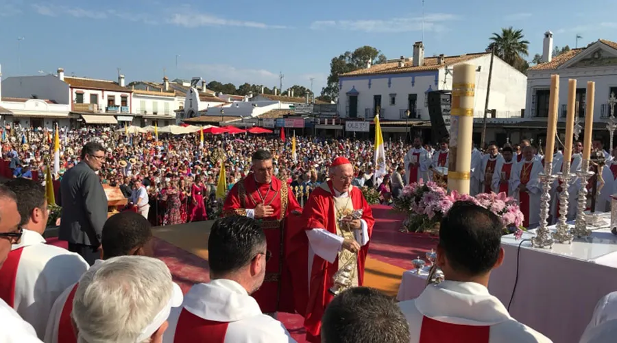 Cardenal Carlos Osoro, Arzobispo de Madrid (España), durante la celebración de la Misa en el Santuario de El Rocío. Foto: ArchiMadrid.