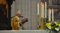 Cardenal Carlos Osoro, Arzobispo de Madrid (España), abrió la puerta del Año Jubilar Mariano. Foto: ArchiMadrid. 