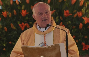 Cardenal Marc Ouellet / Foto: Eduardo Berdejo (ACI Prensa) 