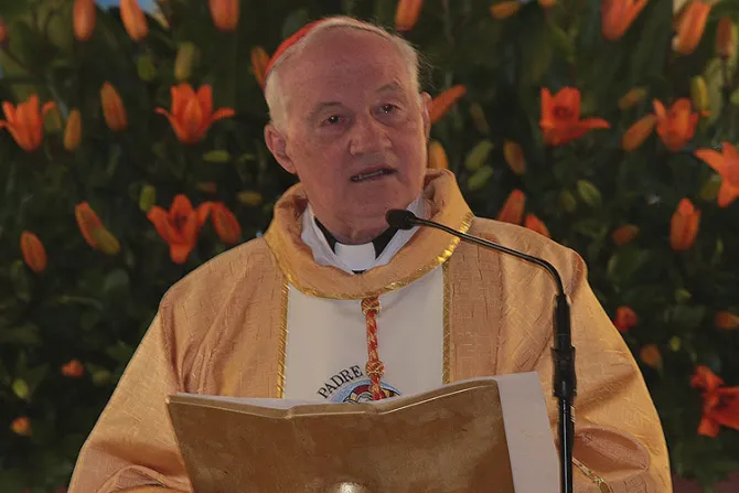 Cardenal Ouellet: Respondamos la persecución testimoniando con fuerza la misericordia