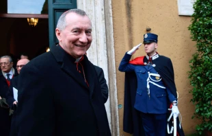 El Cardenal Pietro Parolin en una imagen de archivo. Foto: ACI Prensa 