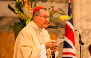 Cardenal Pietro Parolin / Foto: Flickr de UK in Holy See (CC-BY-NC-2.0) 
