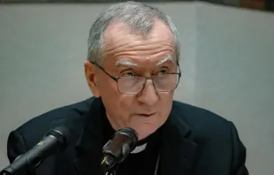El Secretario de Estado Vaticano, Cardenal Pietro Parolin. Daniel Ibáñez / ACI Prensa.