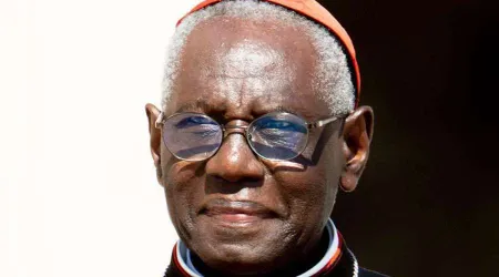 El Papa acepta la renuncia del Cardenal Robert Sarah