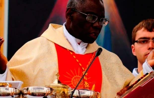 Cardenal Robert Sarah / Foto: Flickr de Paval Hadzinski (CC_BY_NC_ND_2.0) 