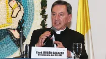 Cardenal Rubén Salazar / Foto: Eduardo Berdejo (ACI Prensa)