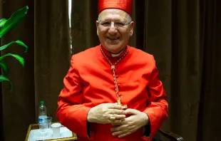 El Cardenal Sako / Foto: Daniel Ibáñez (ACI Prensa) 