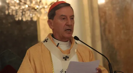 Cardenal Salazar: Nada justifica no denunciar y enfrentar abusos en la Iglesia