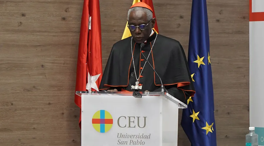 Cardenal Robert Sarah durante la presentación del congreso Católicos y Vida Pública en Madrid (España). Crédito: Congreso Católicos y Vida Pública.