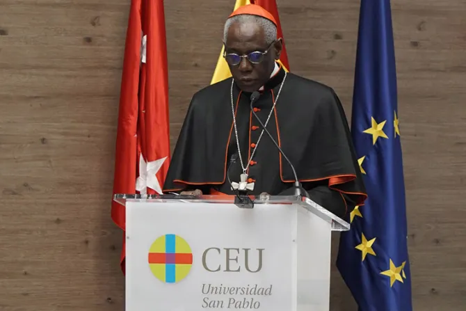 Cardenal Sarah: La educación católica está “intrínsecamente ligada a la evangelización”
