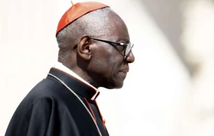 El Cardenal Sarah. Foto: Daniel Ibu00e1u00f1ez / ACI Prensa 