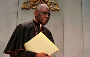 Cardenal Robert Sarah. Cru00e9dito: Bohumil Petrik (ACI). 