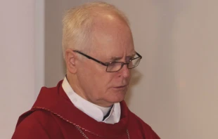Cardenal Odilo Scherer, Arzobispo de Sao Paulo (Brasil). Foto: Eduardo Berdejo (ACI Prensa) 