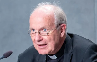 Cardenal Christoph Schu00f6nborn, Arzobispo de Viena. Cru00e9dito: Daniel Ibu00e1u00f1ez / ACI Prensa 