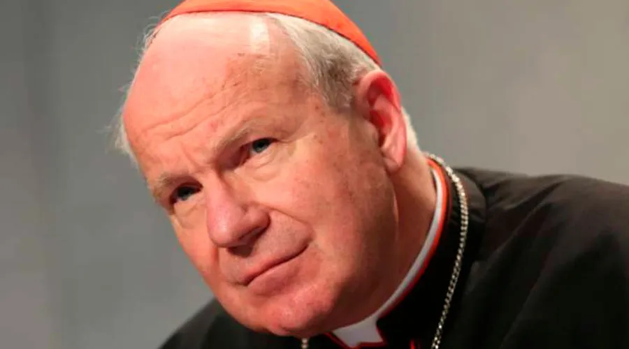 Cardenal Schönborn vuelve a criticar “no” del Vaticano a bendecir parejas homosexuales