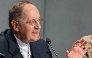 El Cardenal Beniamino Stella. Foto: Daniel Ibu00e1u00f1ez / ACI Prensa 