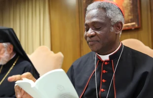Cardenal Peter Turkson al presentar encu00edclica Laudato Si'. Foto: Bohumil Petrik / ACI Prensa. 