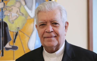 Cardenal Jorge Urosa. Foto Daniel Ibu00e1u00f1ez (ACI Prensa) 