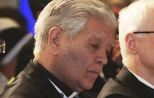 Cardenal Jorge Urosa. Foto: Eduardo Berdejo / ACI Prensa 