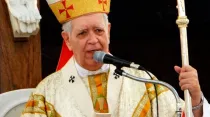 Cardenal Jorge Urosa / Foto: El Guardián Católico