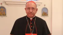 Cardenal Raúl Vela Chiriboga, enviado papal para la clausura del Jubileo por los 400 años de la muerte de Santa Rosa de Lima. Foto: Arzobispado de Lima