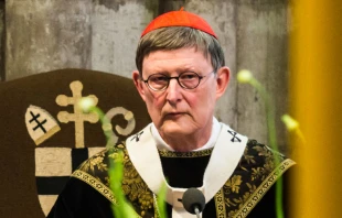 Cardenal Reiner Maru00eda Woelki. Cru00e9dito: Raimond Spekking (CC BY-SA 4.0) via Wikimedia Commons  