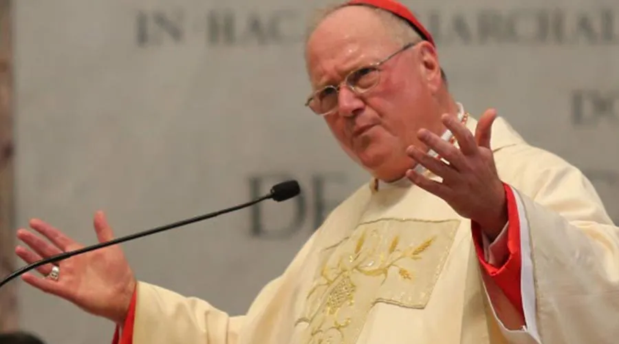 Cardenal Timothy Dolan. Foto: Bohumil Petrik / ACI Prensa.?w=200&h=150