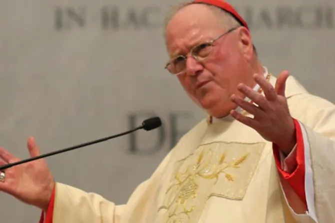 Cardenal Dolan: El Partido Demócrata ha abandonado a los católicos en Estados Unidos