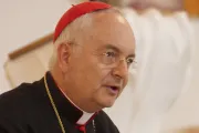 Ante las dramáticas circunstancias, el acto de consagración "es urgente”, afirma Cardenal 