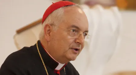 Ante las dramáticas circunstancias, el acto de consagración "es urgente”, afirma Cardenal 