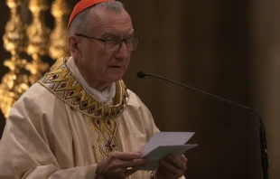 El Cardenal Pietro Parolin en la Misa por la paz en Ucrania. Cru00e9dito: Daniel Ibu00e1u00f1ez/ACI Prensa 