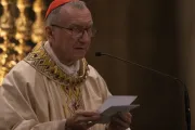 Cardenal Parolin pide que Ucrania “pase de ser un desierto a un jardín floreciente”