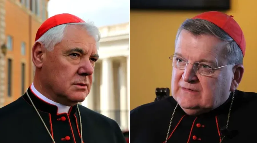 Cardenal Müller y el cardenal Burke?w=200&h=150