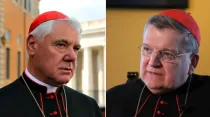 Cardenal Müller y el cardenal Burke