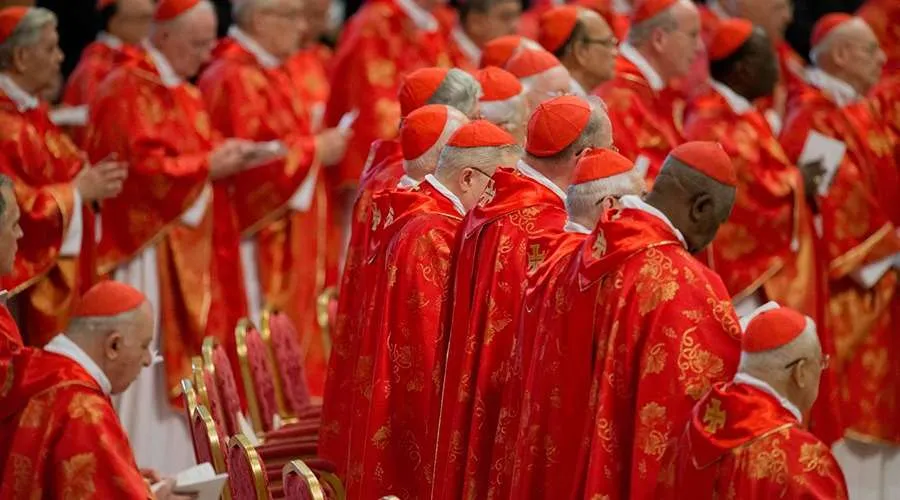Cardenales en la Basílica de San Pedro. Foto: Jeffrey Bruno / ACI Prensa?w=200&h=150