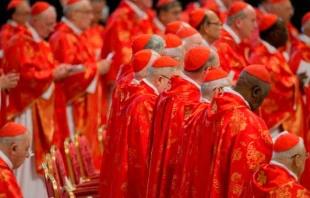 Imagen referencial. Foto: Jeffrey Bruno / ACI Prensa 