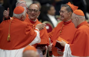 Un grupo de cardenales en la Basu00edlica de San Pedro el 27 de agosto. Cru00e9dito: Daniel Ibu00e1u00f1ez / ACI Prensa 