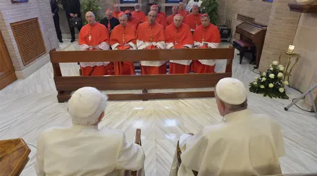 El Papa Francisco y los 14 nuevos cardenales visitan a Benedicto XVI [VIDEO]