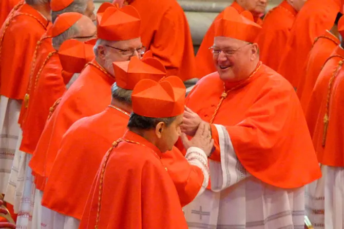 ¿Cuáles son los criterios para elegir cardenales? Responde el Papa Francisco