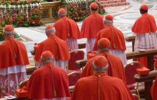 Cardenales (Foto Alan Holdren / ACI Prensa) 