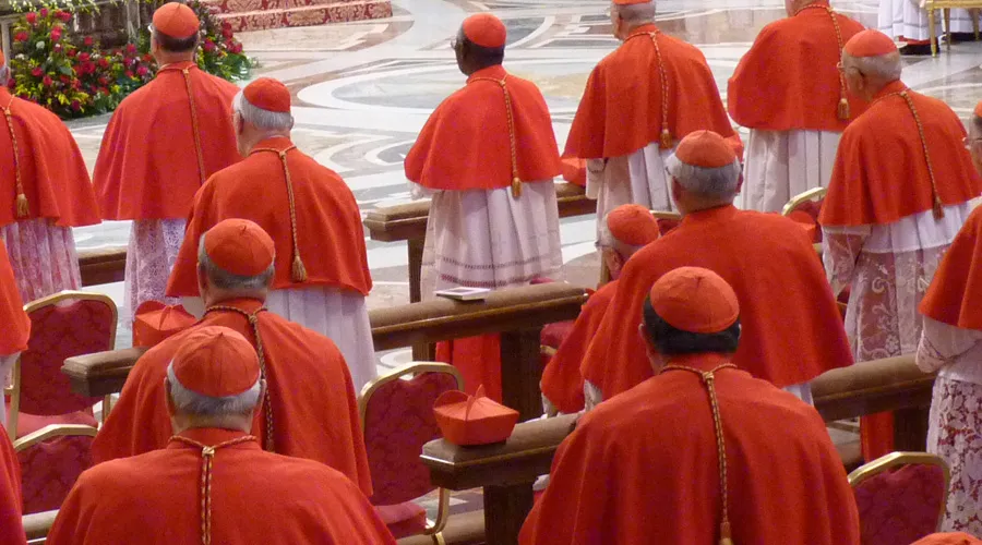Algunos Cardenales de la Iglesia. Foto: Alan Holdren / ACI Prensa