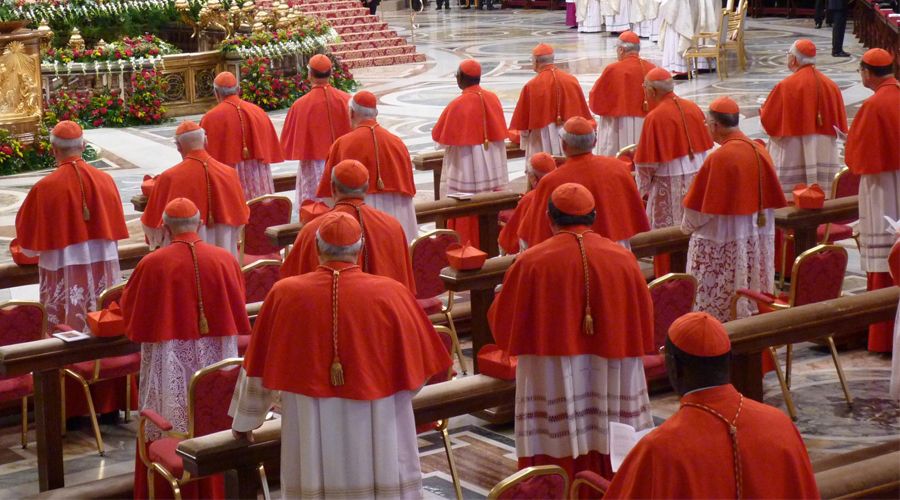 Príncipe de la Iglesia o servidor? Arzobispo explica lo que significa ser  creado cardenal