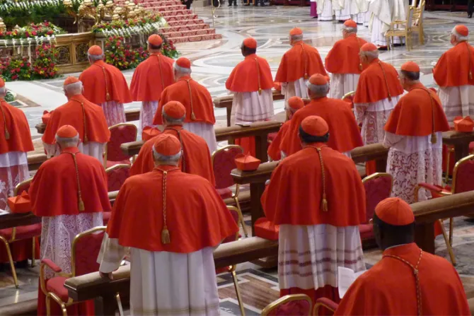 Criterios del Papa para nuevos cardenales no son contrarios a nadie, dice Secretario de Estado del Vaticano