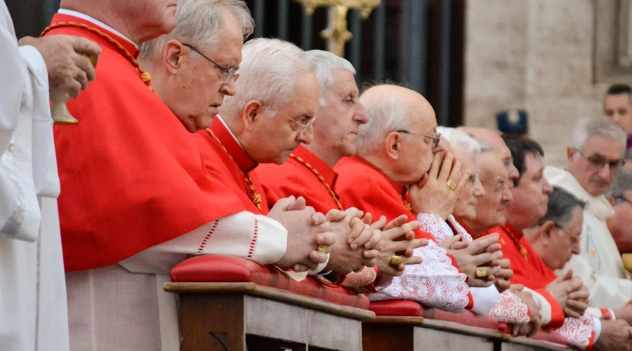 Un grupo de cardenales en el Vaticano. Foto: Daniel Ibáñez (ACI Prensa)?w=200&h=150