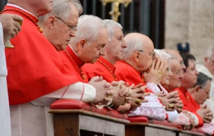 Un grupo de cardenales en el Vaticano. Foto: Daniel Ibu00e1u00f1ez (ACI Prensa) 