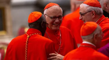 ¿Por qué es importante el consistorio extraordinario de cardenales del próximo agosto?