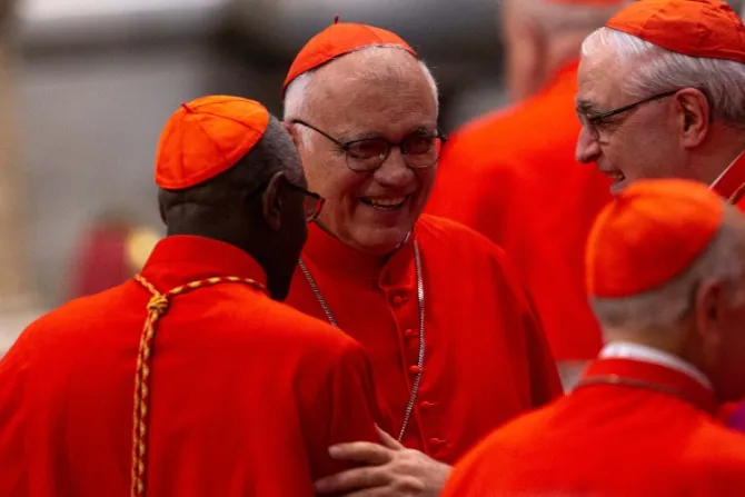 ¿Por qué es importante el consistorio extraordinario de cardenales del próximo agosto?