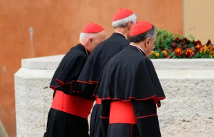 Cardenales (imagen referencial) / Foto: InterMirifica.net 